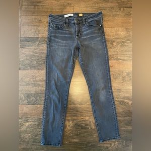 Anthropologie Pilcro and the Letterpress Gray Skinny Jeans Size 29
